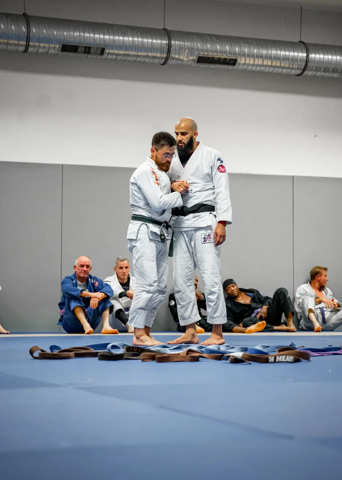 Cérémonie de passage de grades à BLR : les ceintures alignées sur le tatami devant les élèves